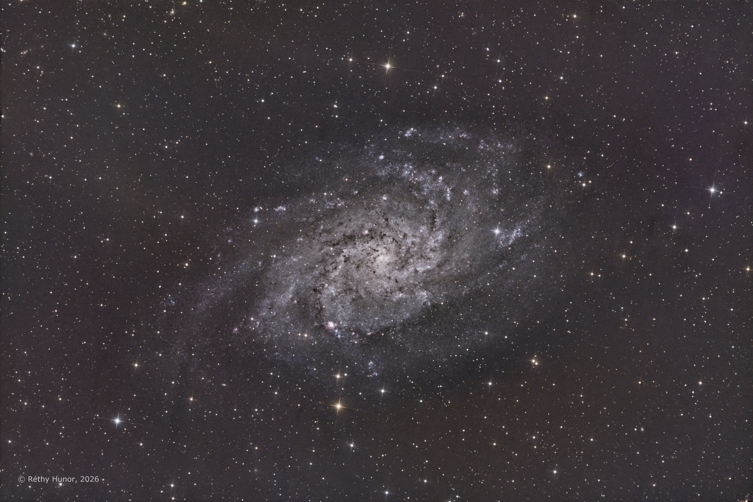 M33